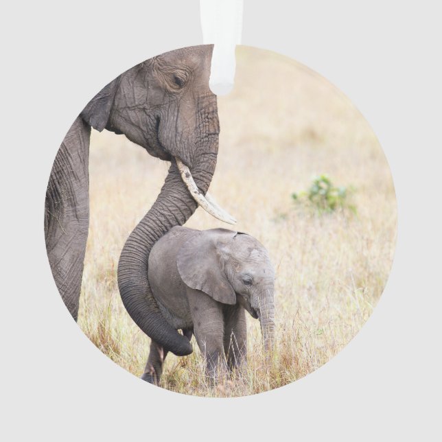 Motherly love ornament (Back)