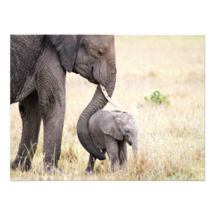 Motherly love photo print