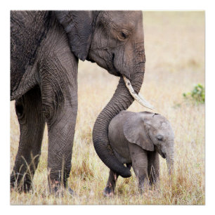 Motherly love poster