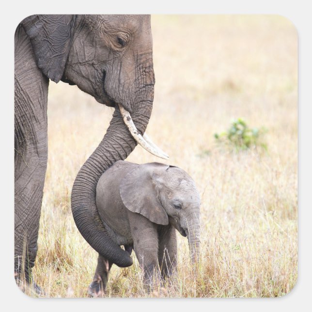 Motherly love square sticker (Front)