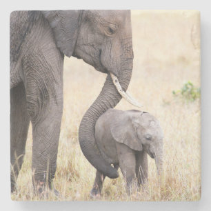 Motherly love stone coaster