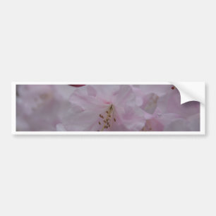 Mother's Caress Bumper Sticker