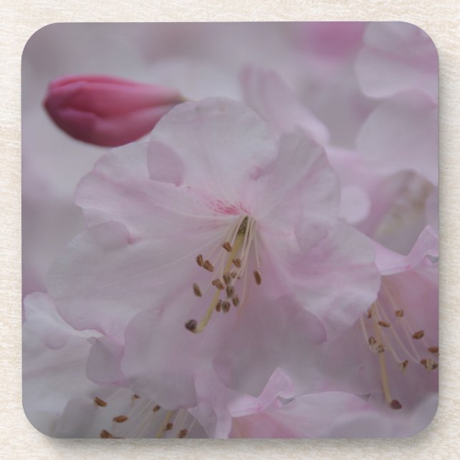 Mother's Caress Coaster (Front)