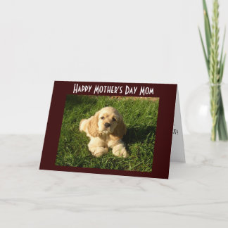 MOTHER'S DAY ADVICE FOR MOM CARD