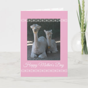 Mother's Day Alpaca Card