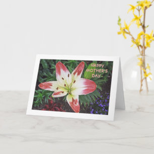 Mother's Day Appreciation/ PRETTY DAYLILY Card