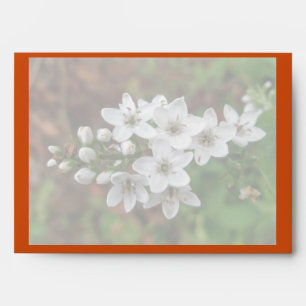 Mother's Day Bee Fly & White Flowers Envelope