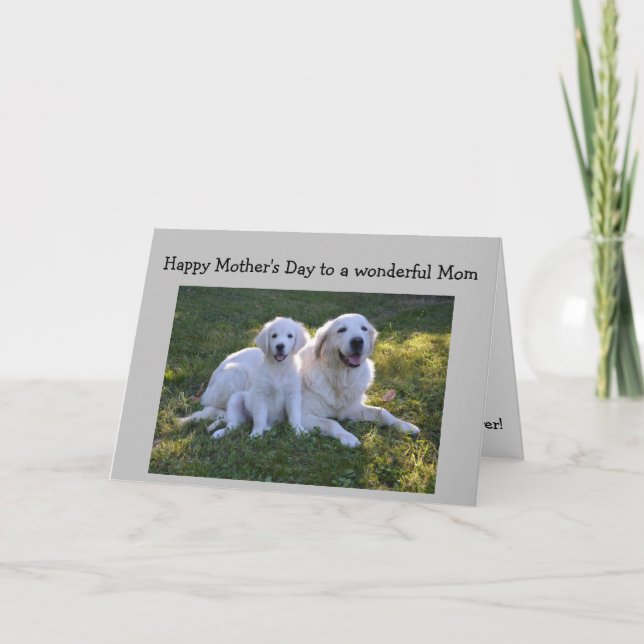 Mother's Day Best Mum Ever Golden Retriever Dog Card (Front)
