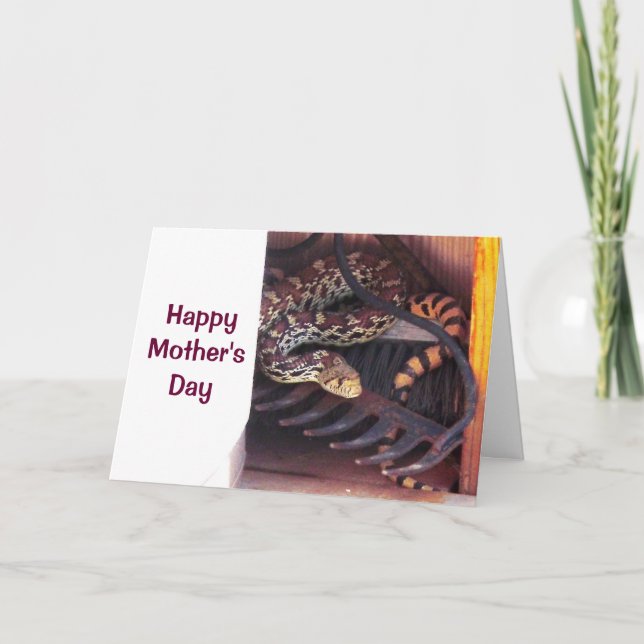 Mother's Day - Bull Snake Card (Front)