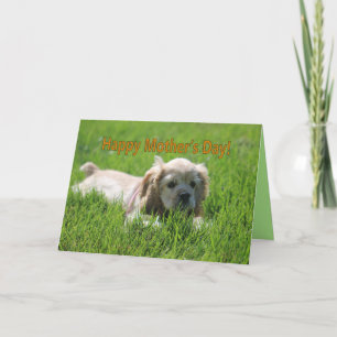 Mother's Day Card
