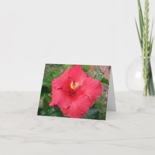 Mother's Day Card (Front)