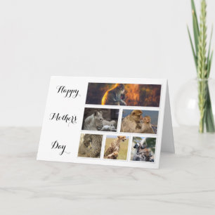 Mother's Day Card - collage of photos of animals