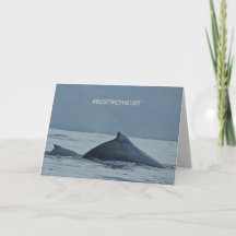Mother's Day card featuring Humpback whales
