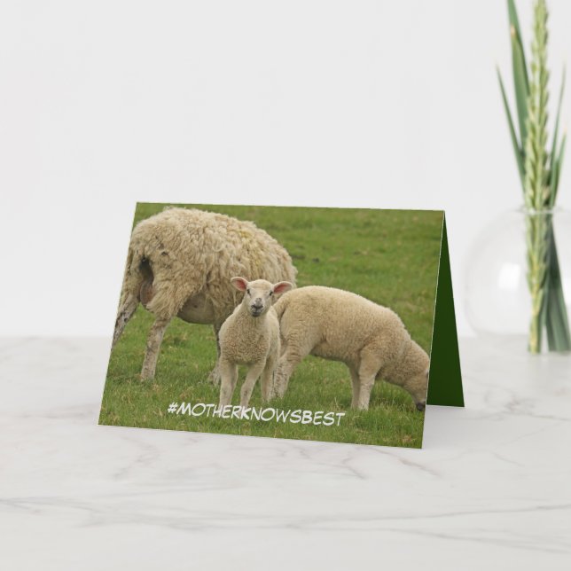 Mother's Day card featuring lamb (Front)