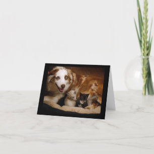 Mother's Day Card for Adopted Children
