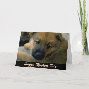 Mothers Day Card from Dog, Cuddle