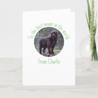 Mother's Day Card From the Dog