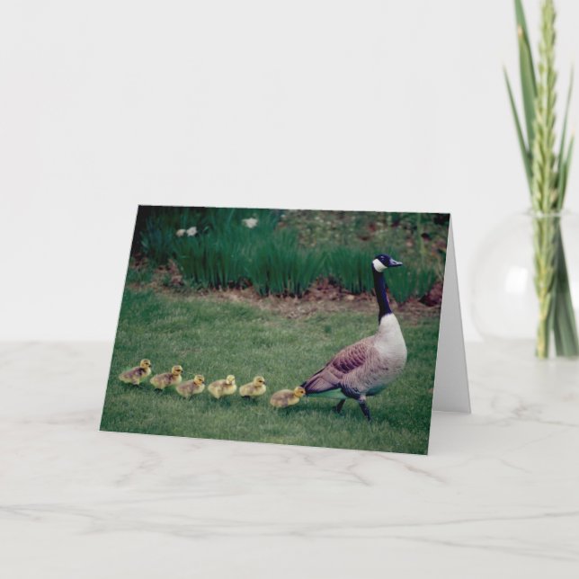 Mother's Day card goose with 6 goslings (Front)