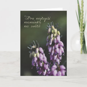 Mother's Day card in Czech
