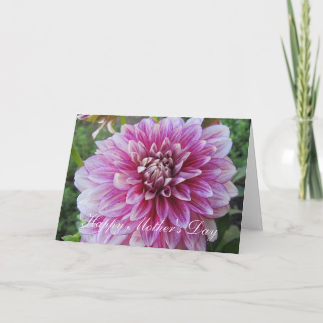 Mother's Day Card--Pink Dahlia Card (Front)