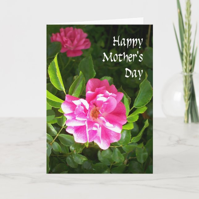 Mother's Day Card - Pink Roses (Front)