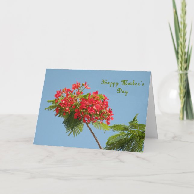 Mother's Day Card with a Royal Poinciana Flower (Front)