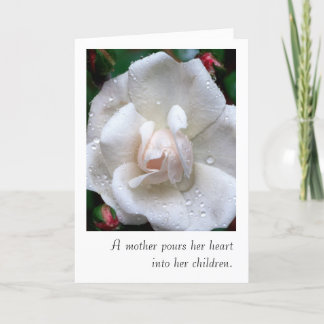 Mother's Day Card with White Rose