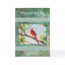 Mother's Day Cardinal