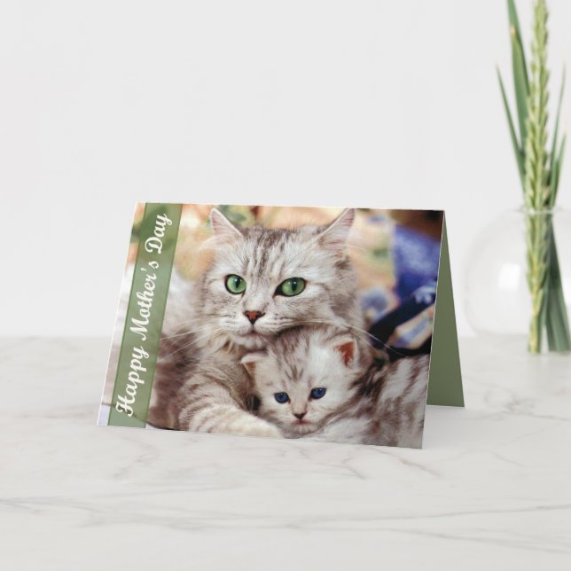 Mother's Day Cat and Kitten Card (Front)