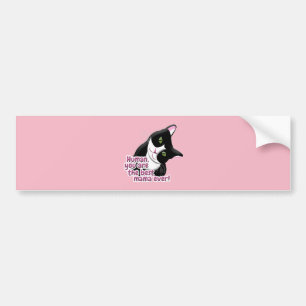 Mother's Day Cat Bumper Sticker