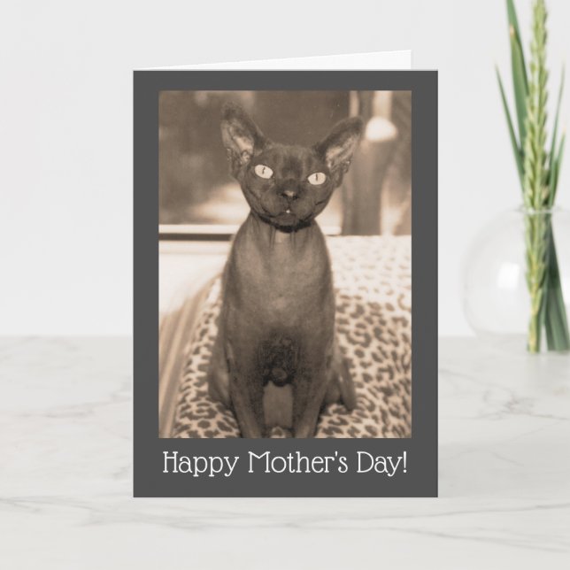 Mother's Day Cat Card | Devon Rex Vintage Photo (Front)