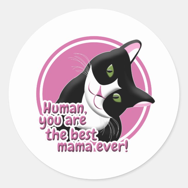 Mother's Day Cat Classic Round Sticker (Front)