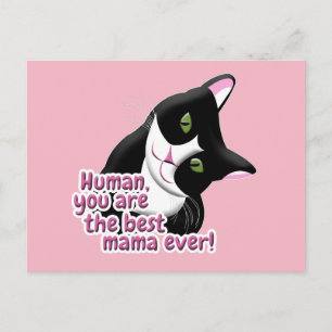 Mother's Day Cat Postcard