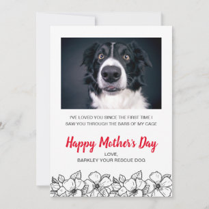 Mother's Day Custom Dog Photo From Dog Pet Holiday Card