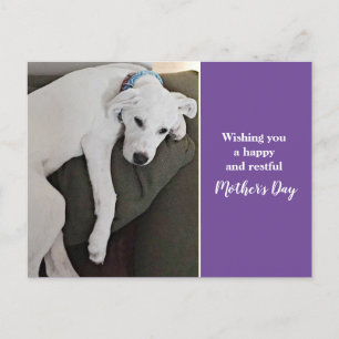 Mother's Day Cute Sleepy White Puppy Dog Purple Holiday Postcard