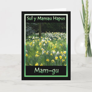 Mother's Day, Daffodil, Welsh Language Card
