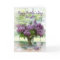 Mother's Day - Daughter - Lilacs