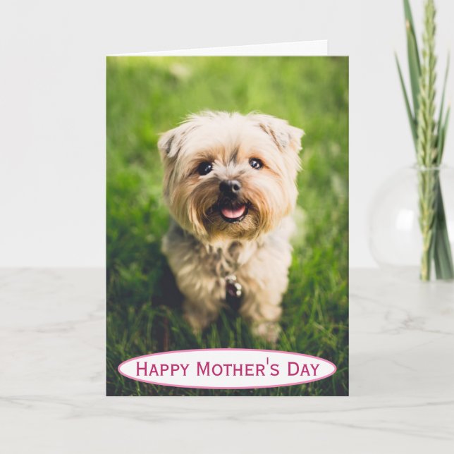 Mother's Day Dog Mum World's Best Ever Pet Photo Card (Front)