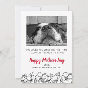 Mother's Day Dog Photo From Rescue Dog Pet Holiday Card