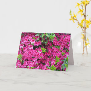 Mother's Day Folded Greeting Card