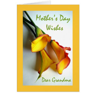 Mother's Day for Grandma, Calla Lilies