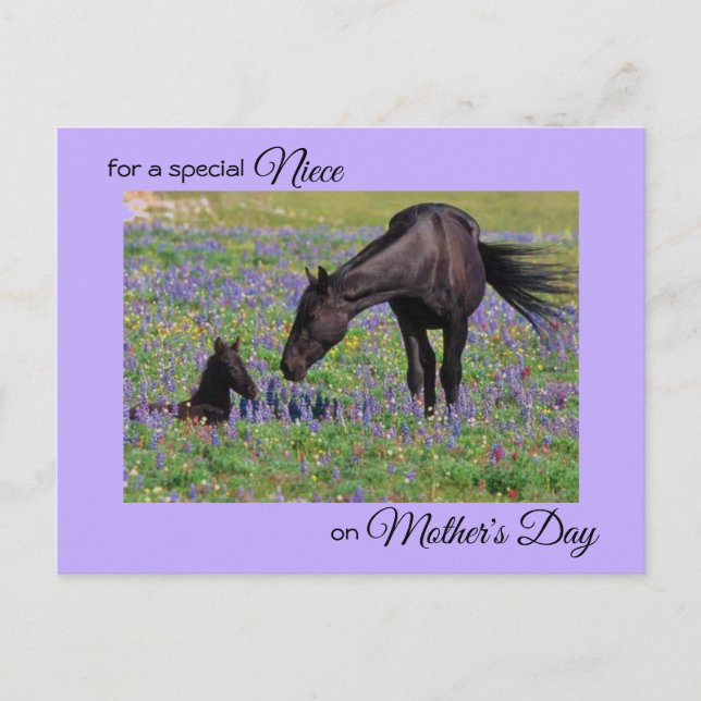 Mother's Day for Niece Mare & Foal Photo Postcard (Front)