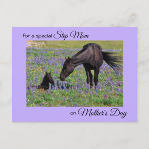 Mother's Day for Step Mum Mare & Foal Photo Postcard