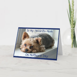 Mother's Day for Yorkie Moms Folded Greeting Card