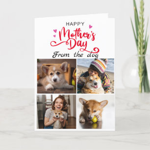 Mother's Day...Four photos custom collage Corgi Thank You Card