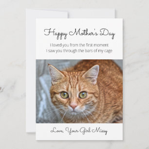 Mother's Day From Rescue Cat Holiday Card