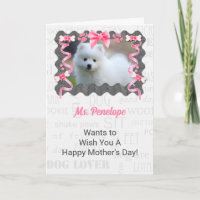Mother's Day from the Dog in Pink and Grey