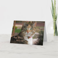 Mother's Day, From Us Both