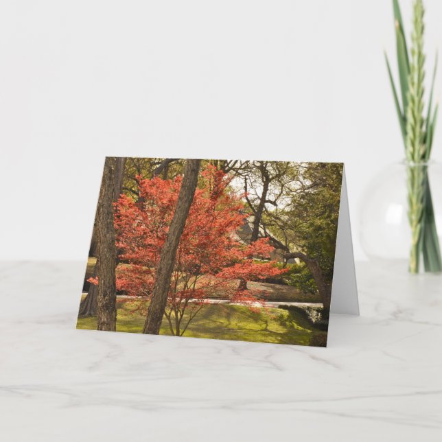 Mother's Day Greeting Card (Front)