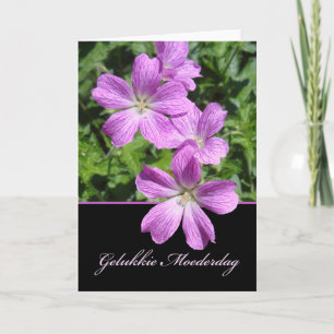 Mother's Day in Dutch, Violet Geraniums Card